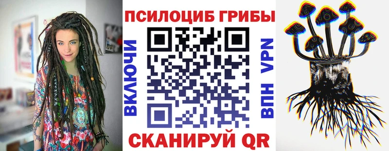 Псилоцибиновые грибы Psilocybine cubensis  Купить где  Верея 