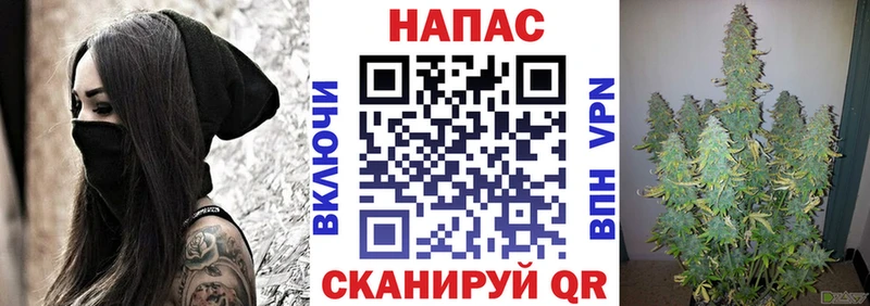 Канабис MAZAR Купить Верея